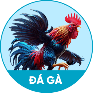 Đá gà